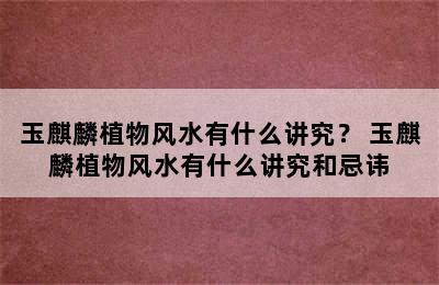 玉麒麟植物风水有什么讲究？ 玉麒麟植物风水有什么讲究和忌讳